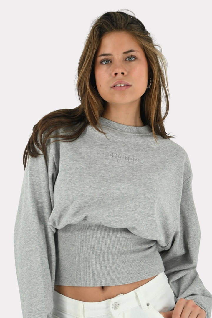 FT studios shirt - grijs