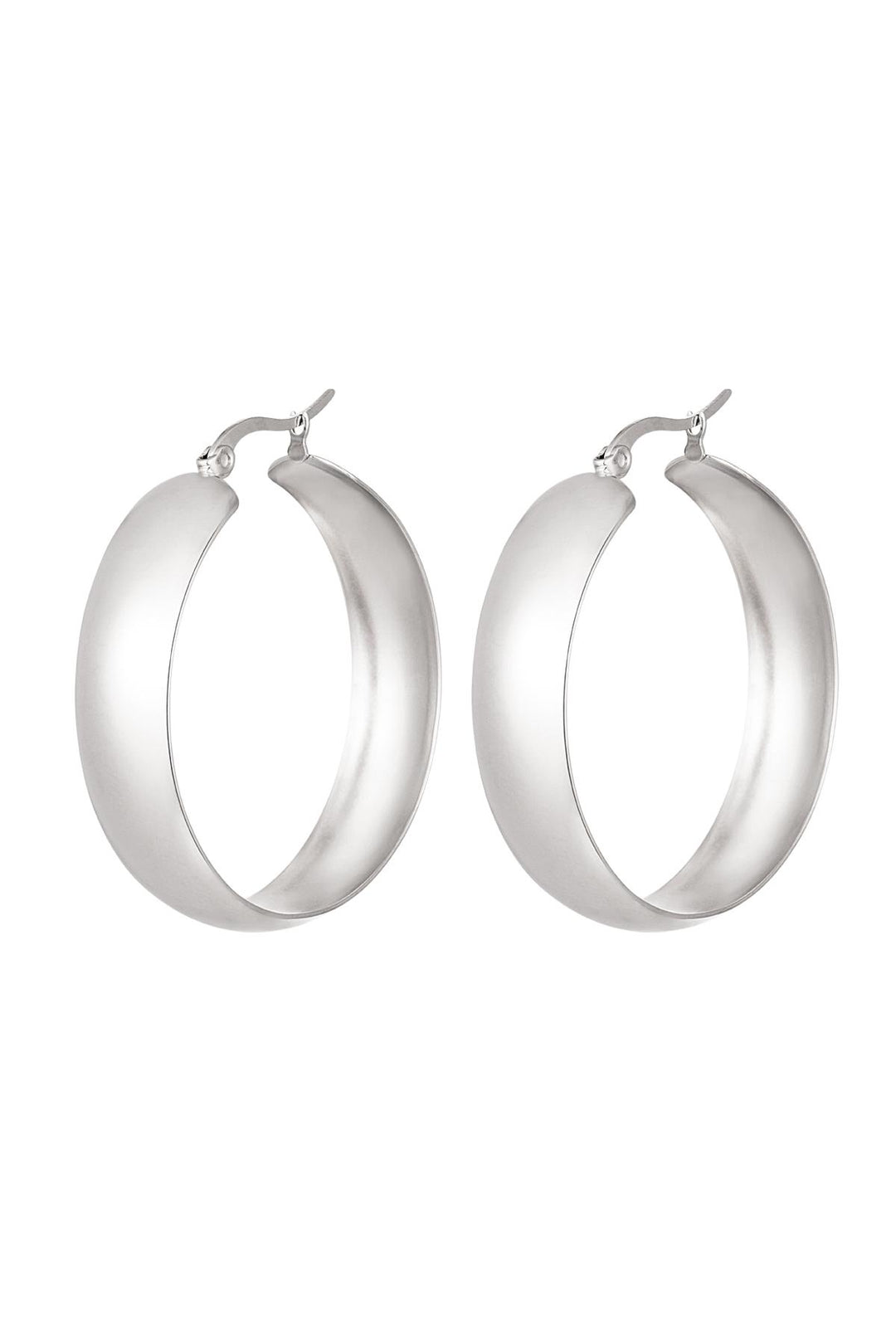 oorbellen stainless steel chique