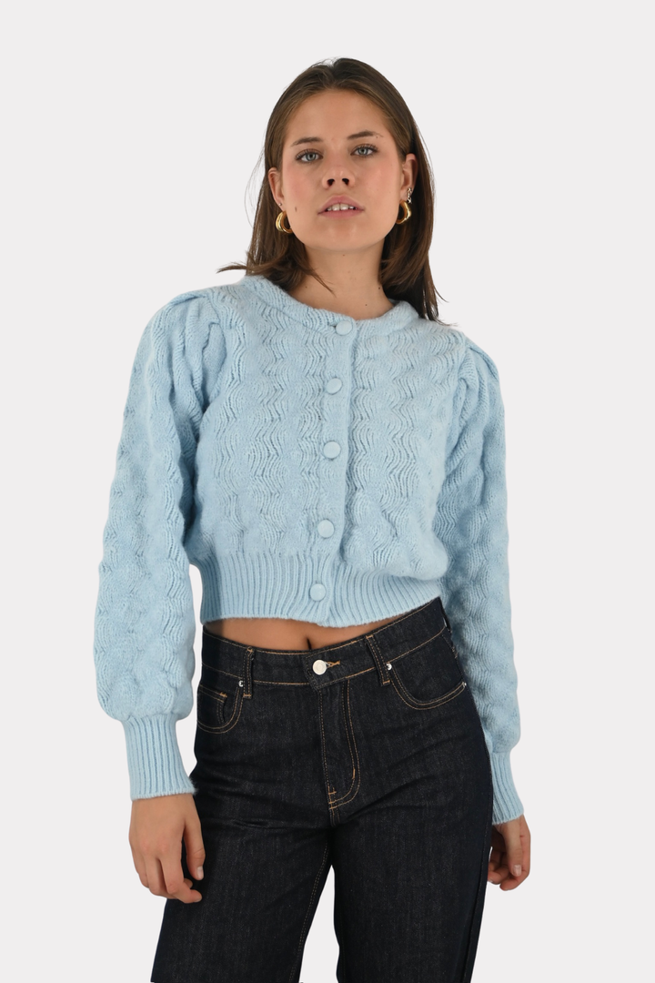 Yuna cardigan - licht blauw
