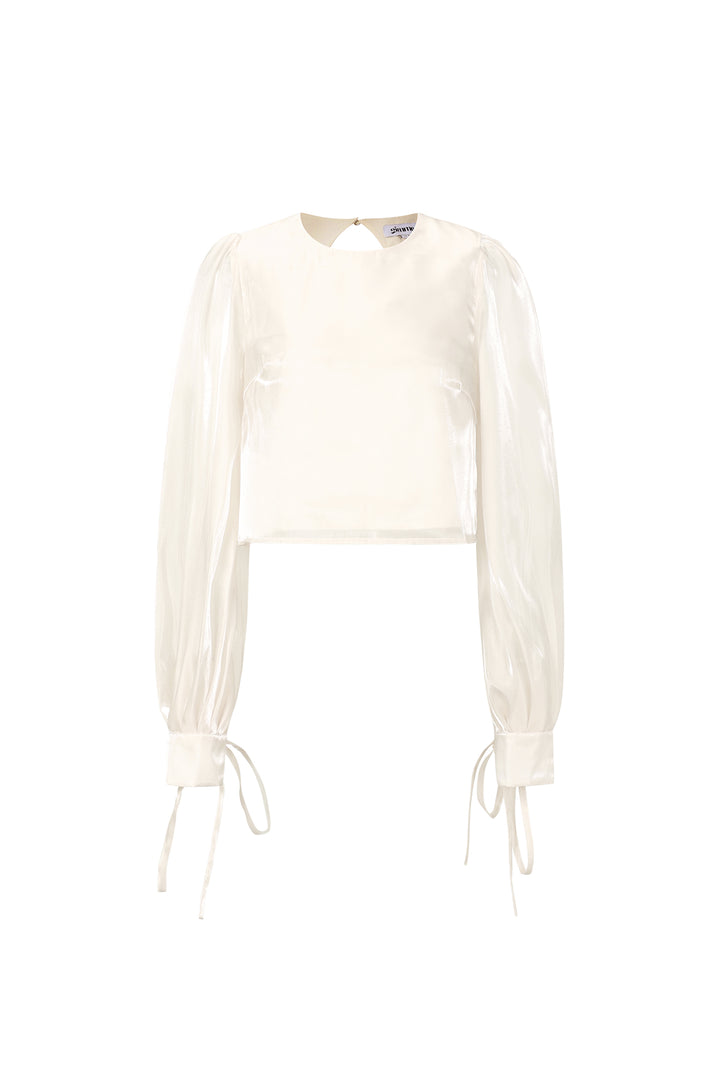Glanzende parelblouse