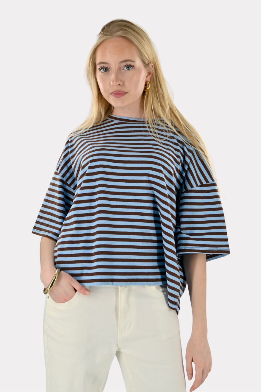 Daily striped shirt - bruin/blauw